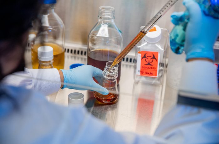 A Research Technician Draws a Sample in the ANBM Lab