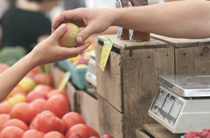 hands holding an apple