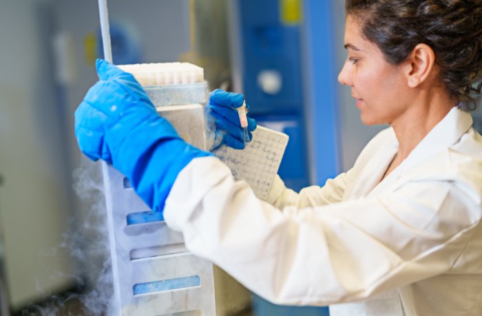 Shirin Doroudgar, PhD, at work in the Translational Cardiovascular Research Center