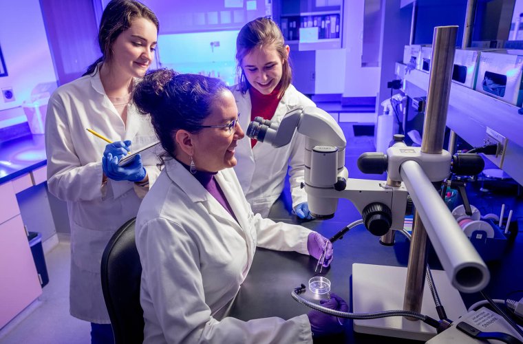 Rebecca Fisher, PhD, in Her Lab (Photo Credit: Chris Richards) Rebecca Fisher, PhD, in Her Lab (Photo Credit: Chris Richards)