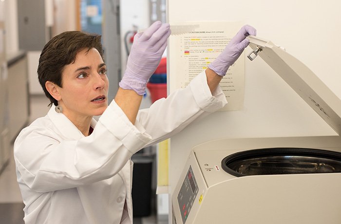Amelia Gallitano, MD, PhD, at Work in Her Lab Amelia Gallitano, MD, PhD, at Work in Her Lab