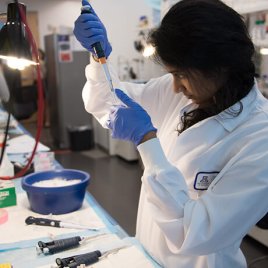 A Student Measuring a Sample in the Lab