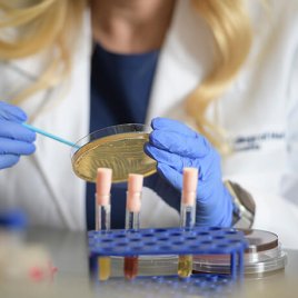 Dr. Herbst-Kralovetz Examining a Sample in the Lab