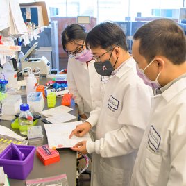 Dr. Dai and Two Lab Associates Read through Some Notes