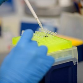 Gloved Hands Measure a Laboratory Sample